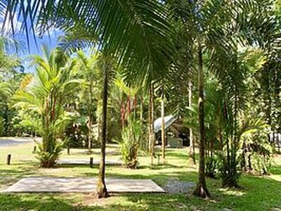Daintree Siesta